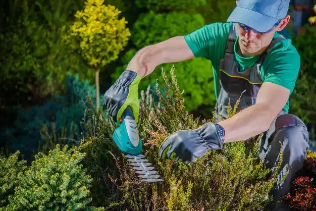 landscaping services Amory